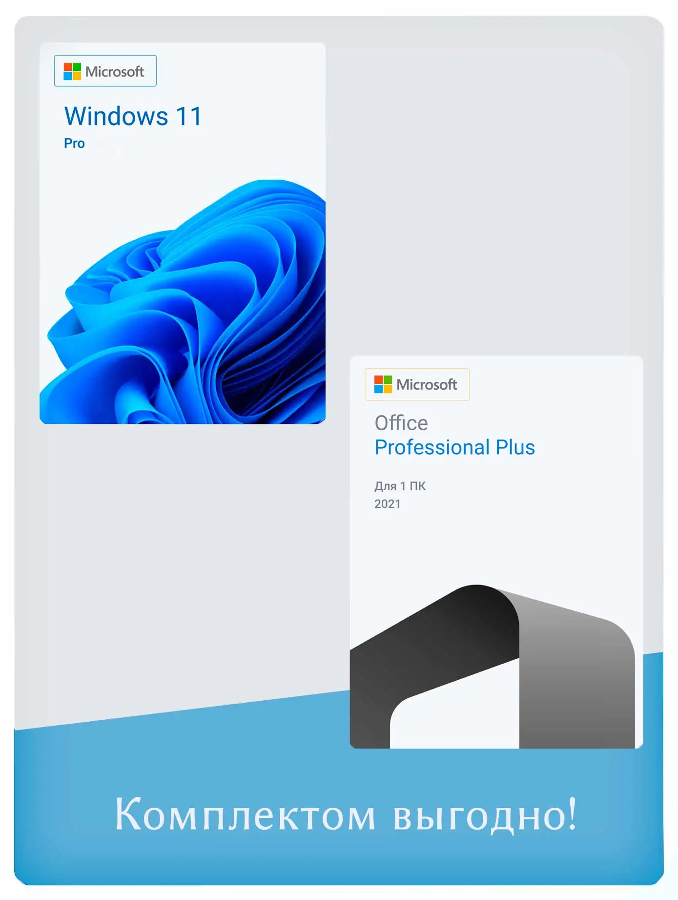 Microsoft Windows 11 Pro + Microsoft Office 2021 Pro Plus