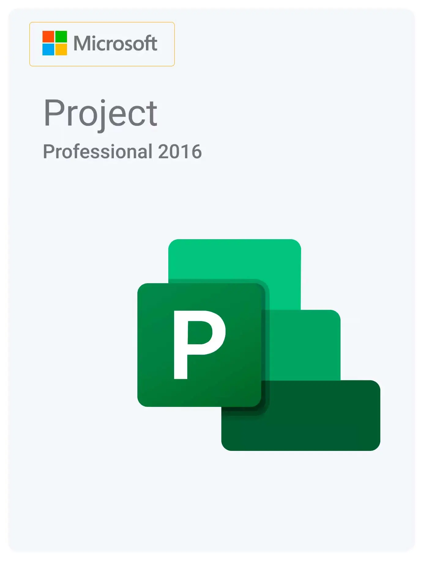 Microsoft Project 2016 Professional