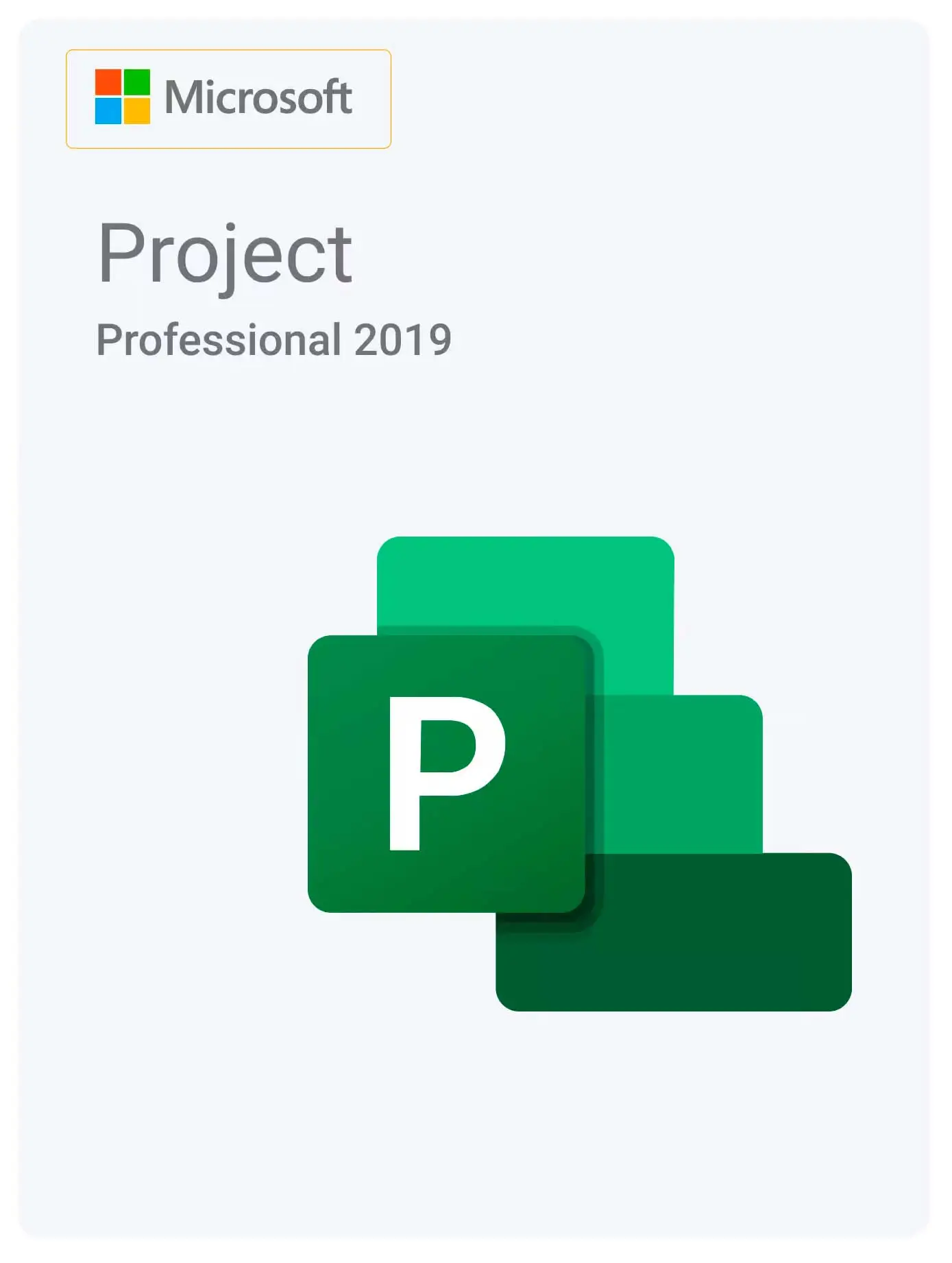 Microsoft Project 2019 Professional ( С привязкой к аккаунту )