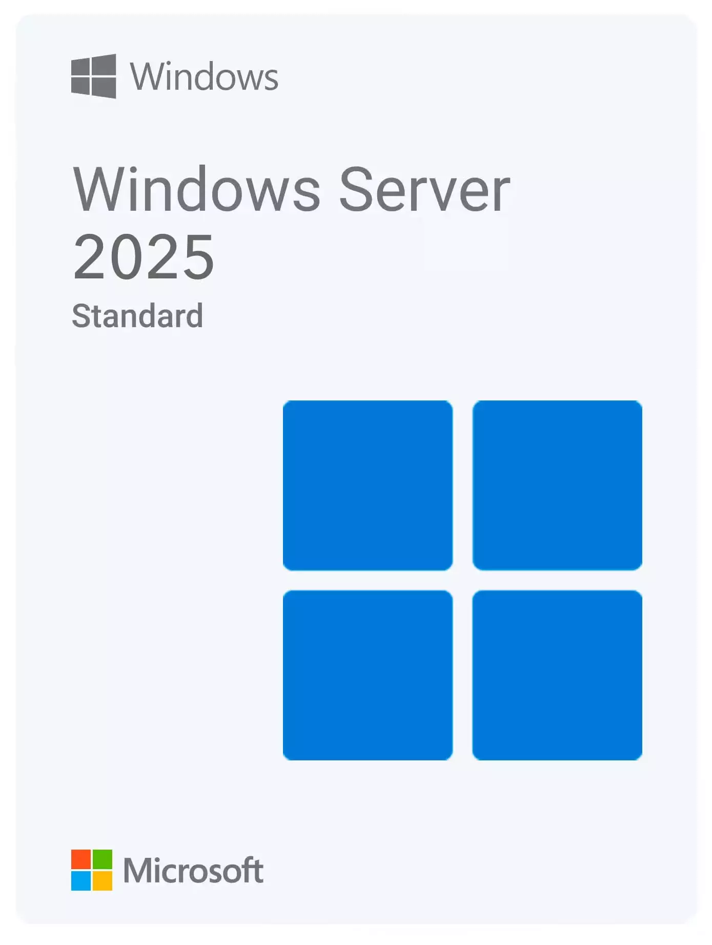 Microsoft Windows Server 2025 Standart